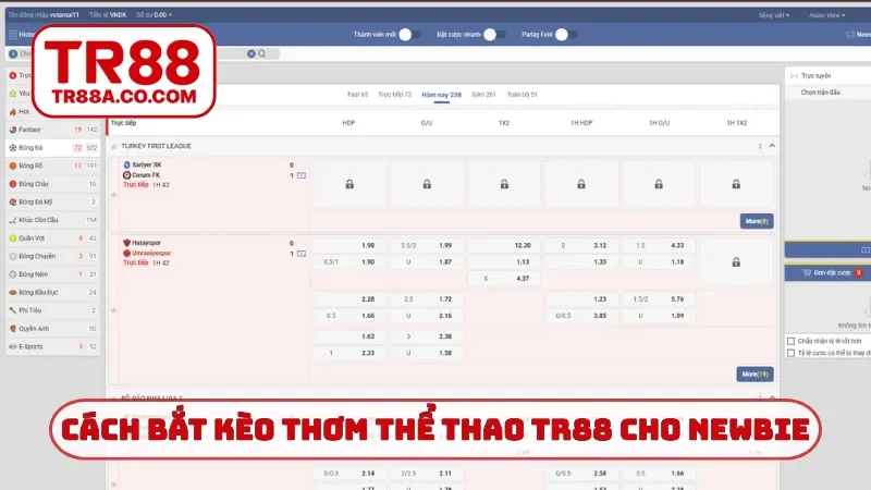 Cách bắt kèo thơm thể thao TR88 cho newbie