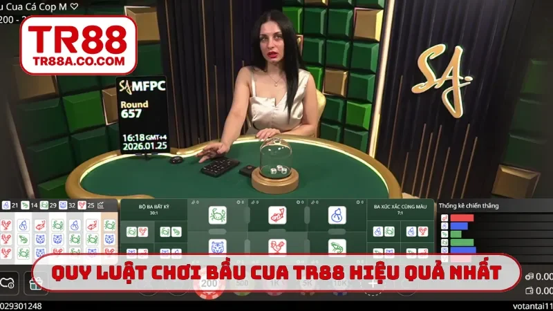 Quy luật chơi bầu cua TR88 hiệu quả nhất