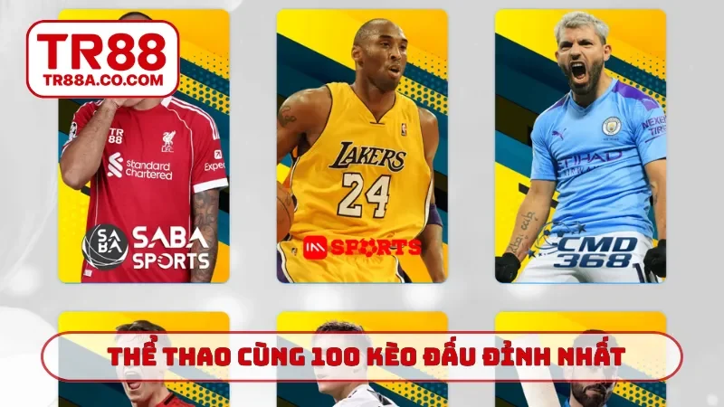 Thể thao cùng 100 kèo đấu đỉnh nhất